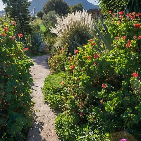 白色公寓 * 埃尔乔罗