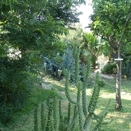 La Blanca Alora